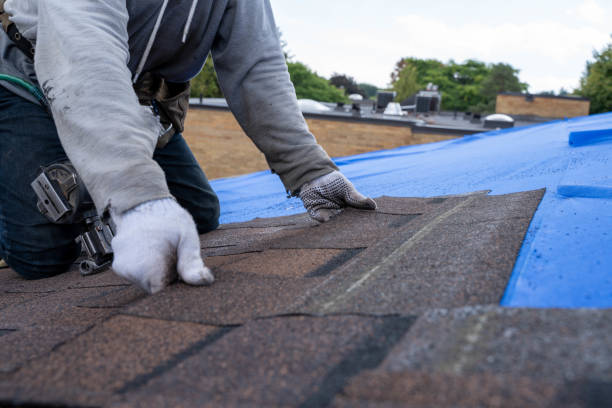 Best Storm Damage Roof Repair  in Lemont Furnace, PA